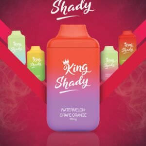 King Shady Disposable Vape - Powerful and compact design, 4000 puffs, 6mL/20mg, rechargeable, Type-C charging - Vape Cave